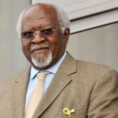 Dr Julius Garvey
