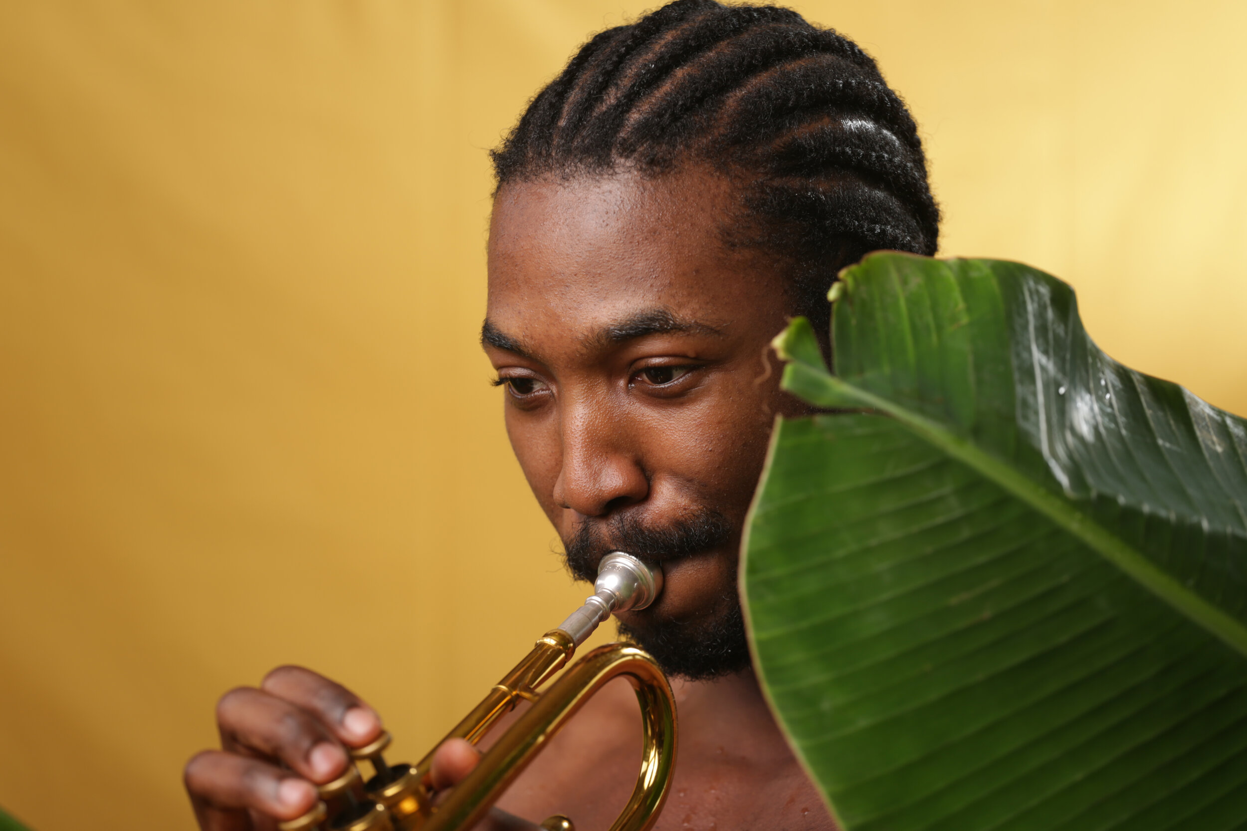 Mádé Kuti